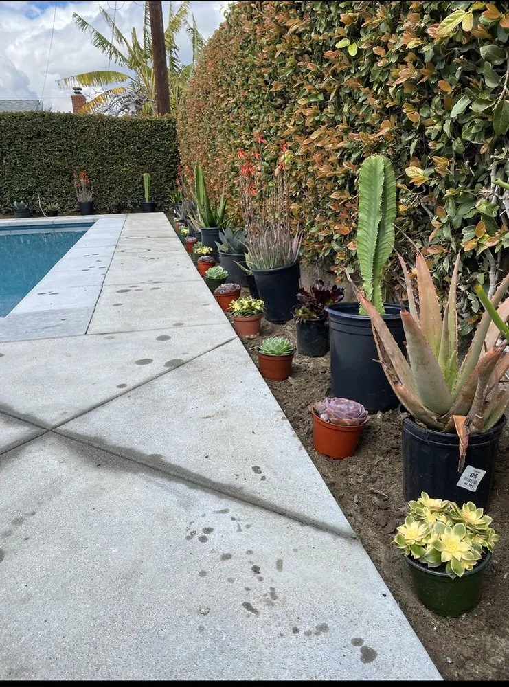 Affordable landscape design for beautiful yards across Costa Mesa, CA - Killelea Landscape