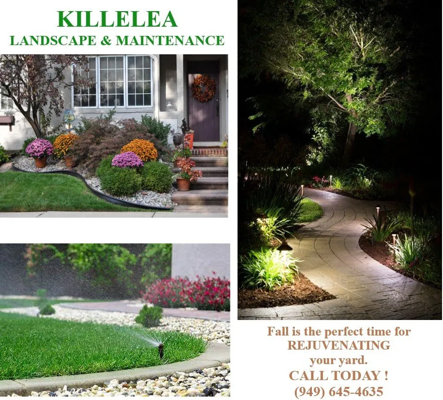 Affordable residential landscaping for residential properties in Costa Mesa, CA by Killelea Landscape
