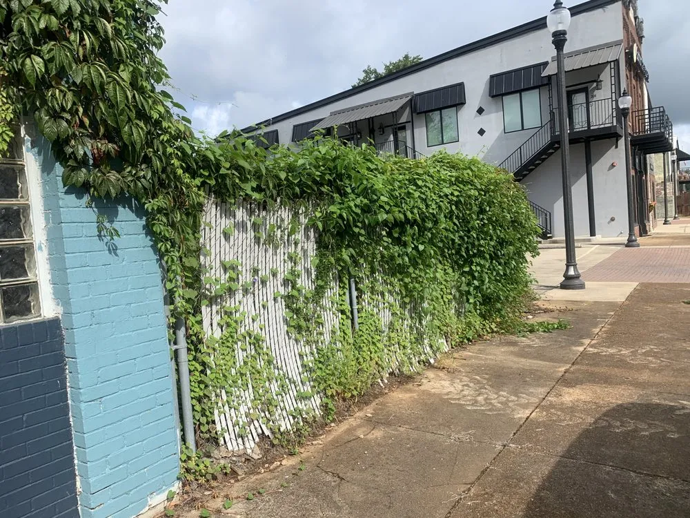 Professional landscaping services with custom design in Killen, AL by Killen Kutz