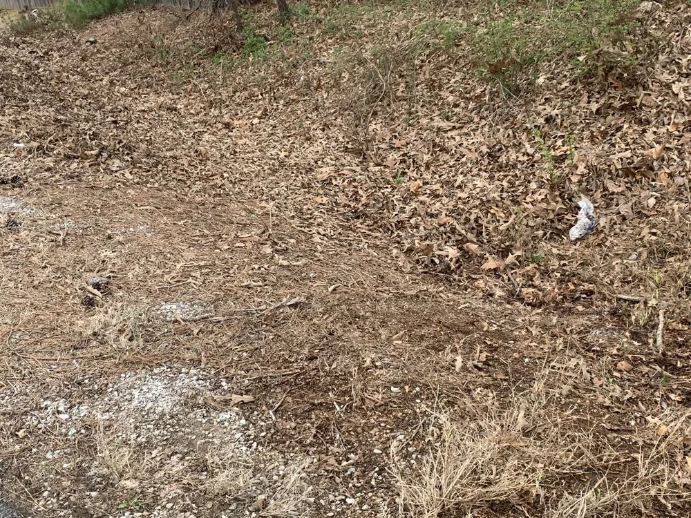 Affordable landscape installation for year-round maintenance across Killen, AL - Killen Kutz