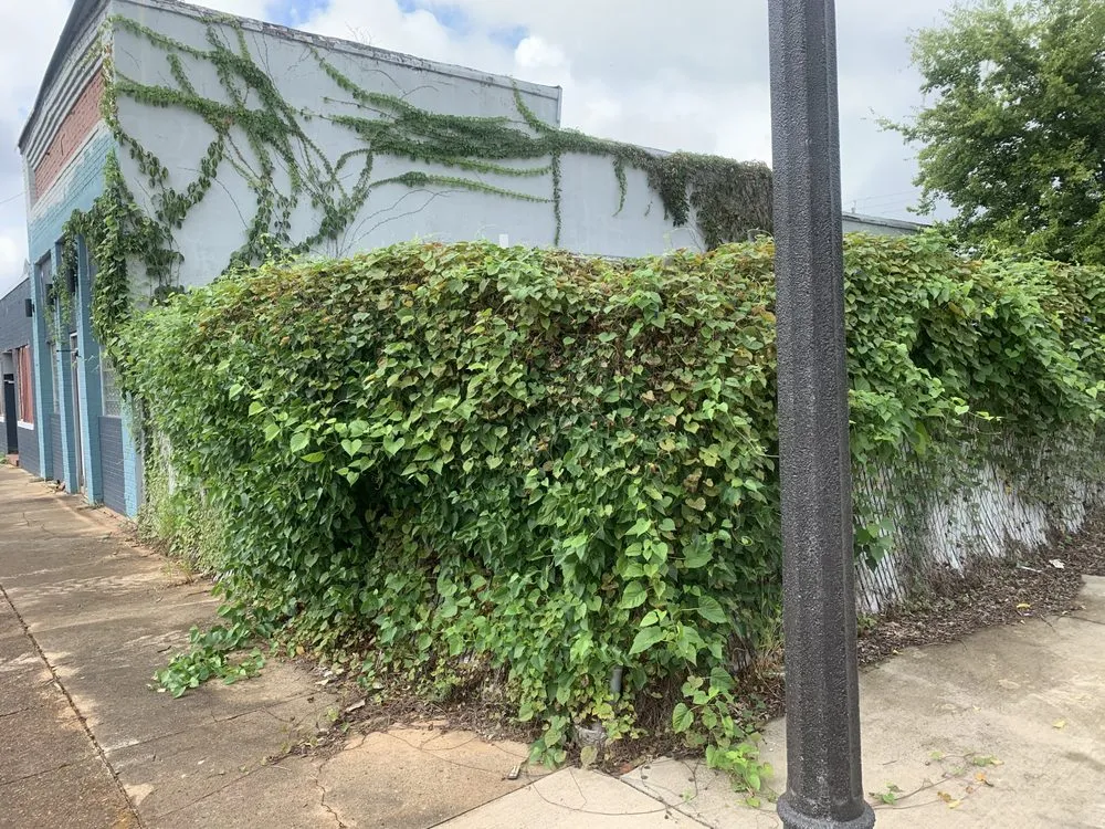 Trusted garden landscaping for residential properties in Killen, AL by Killen Kutz