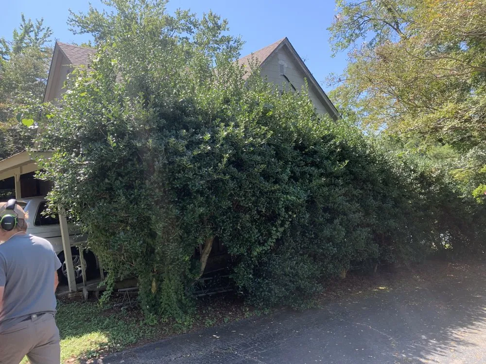 Expert landscaping services in Killen, AL - Killen Kutz