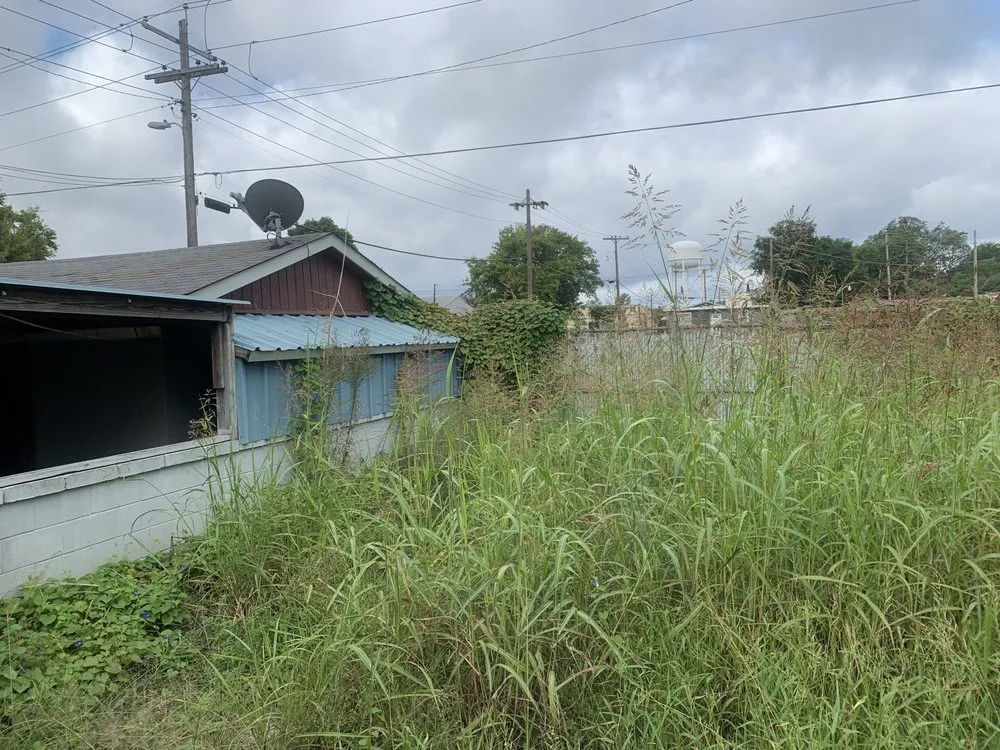 Professional landscape installation in Killen, AL - Killen Kutz