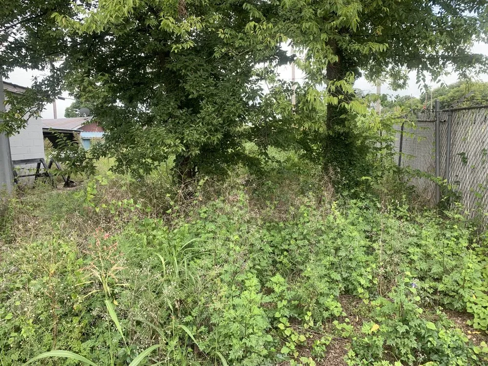 Custom lawn mowing service in Killen, AL by Killen Kutz