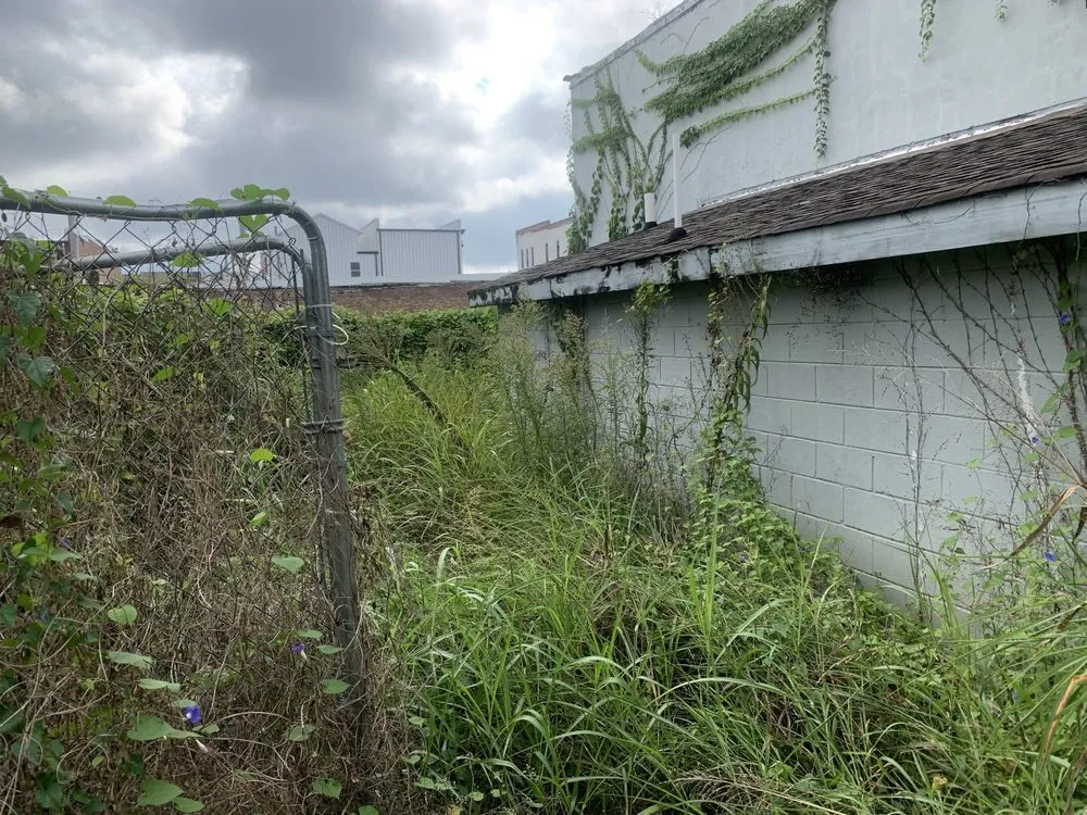 Reliable landscape design experts serving Killen, AL - Killen Kutz