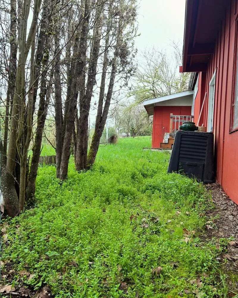 Top-rated lawn care service in Oakland, OR by Killer Landscaping