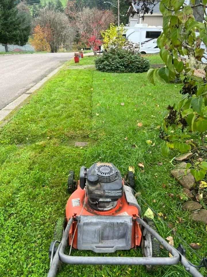 Top-rated yard cleanup service with custom design in Oakland, OR by Killer Landscaping