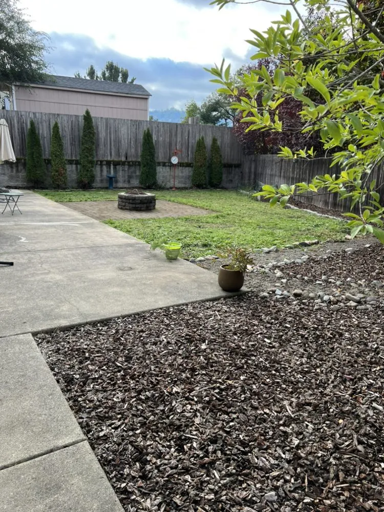 Professional landscape design for year-round maintenance in Oakland, OR by Killer Landscaping