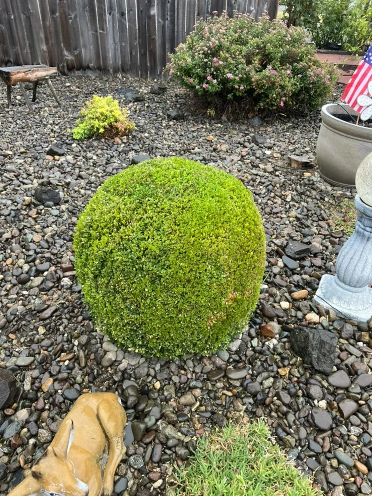 Professional outdoor landscaping experts serving Oakland, OR - Killer Landscaping