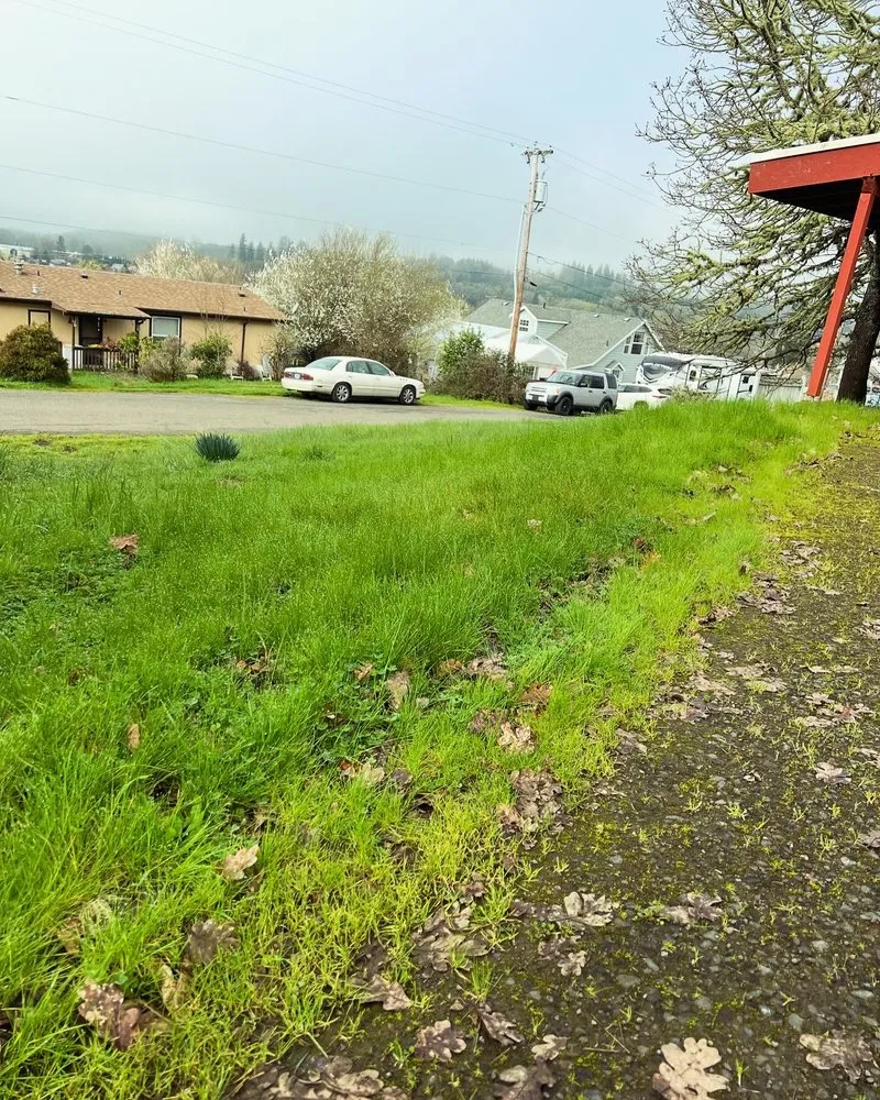 Professional residential landscaping in Oakland, OR by Killer Landscaping