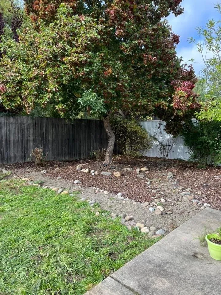 Professional outdoor landscaping in Oakland, OR by Killer Landscaping