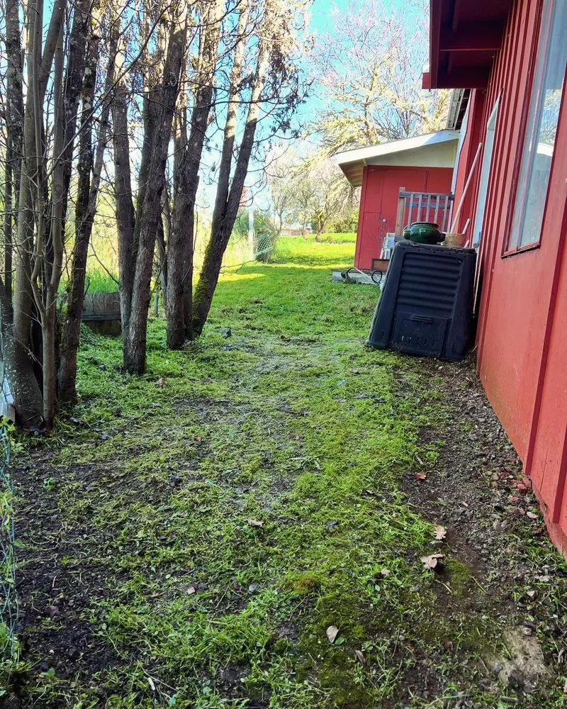 Expert landscape installation in Oakland, OR by Killer Landscaping