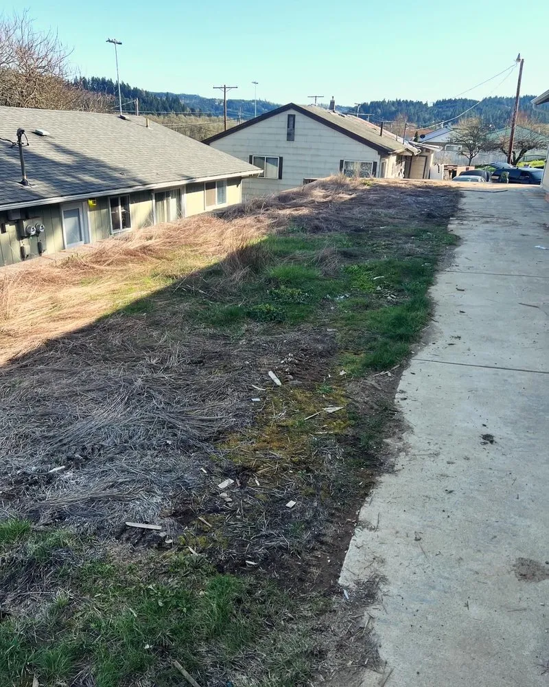 Affordable landscape design for beautiful yards across Oakland, OR - Killer Landscaping