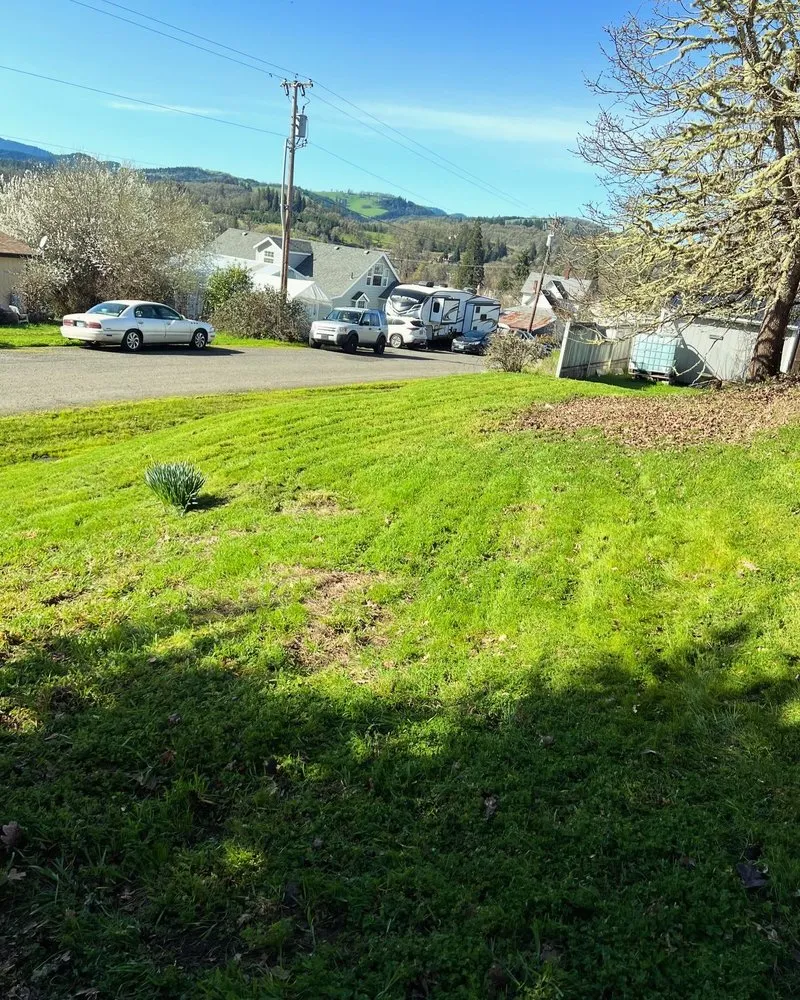 Custom outdoor landscaping with custom design across Oakland, OR - Killer Landscaping