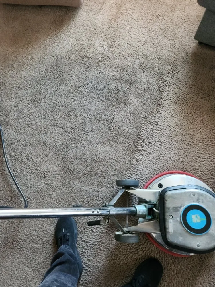 Top-rated garden landscaping for year-round maintenance in Eastlake, OH by Killer Lawn & Haul