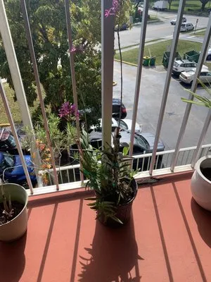 Killian Growers Nursery Logo