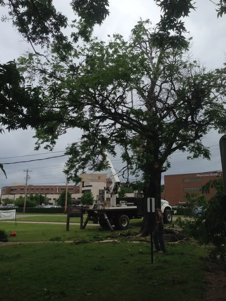 Top-rated lawn care service near you across Fort Smith, AR - Killian's Tree Service