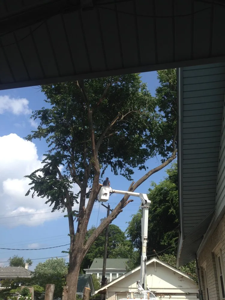 Trusted outdoor landscaping in Fort Smith, AR - Killian's Tree Service