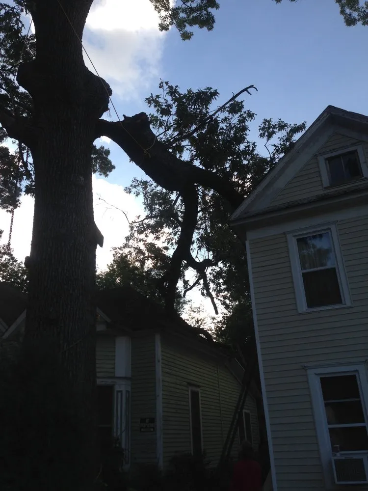 Expert lawn mowing service in Fort Smith, AR - Killian's Tree Service