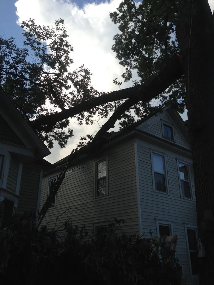 Affordable garden landscaping in Fort Smith, AR - Killian's Tree Service