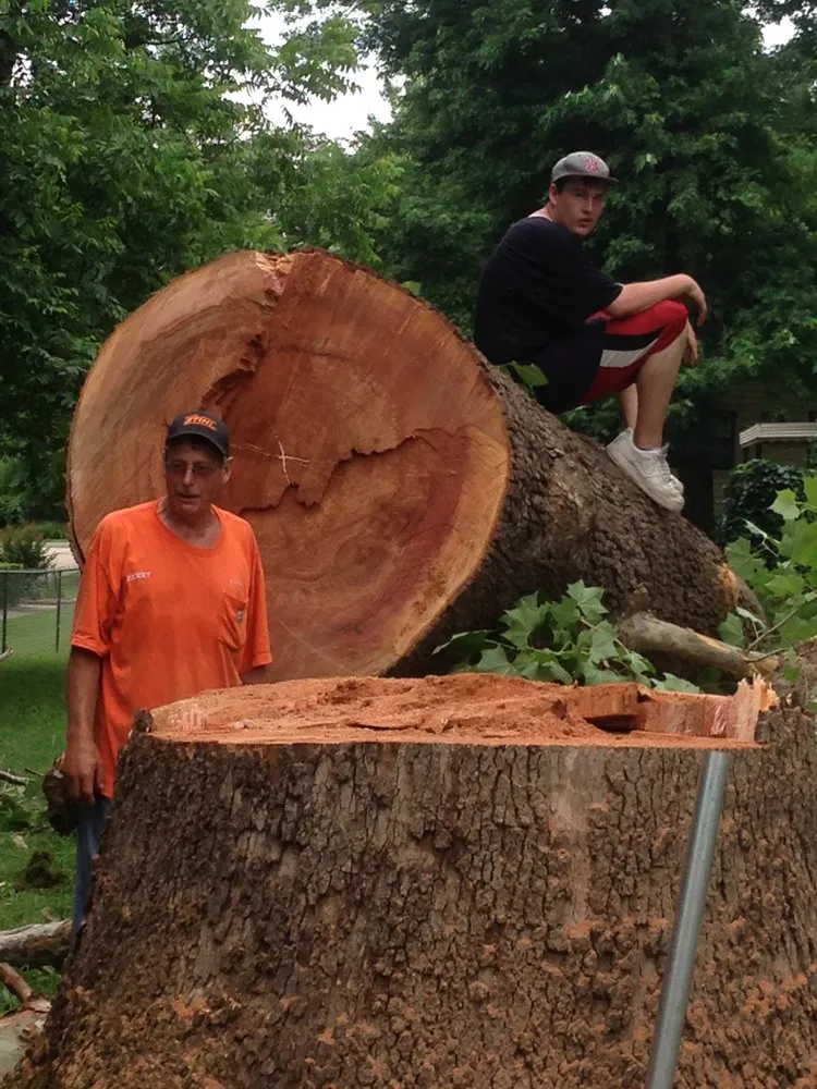 Professional landscape design with custom design in Fort Smith, AR by Killian's Tree Service