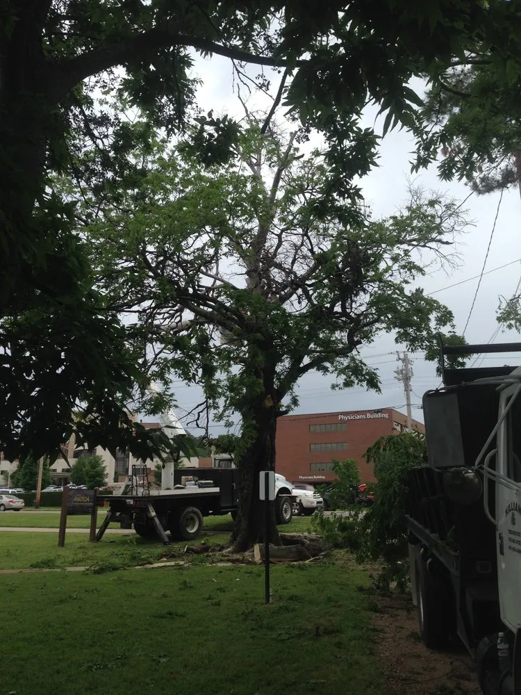 Custom garden landscaping in Fort Smith, AR by Killian's Tree Service