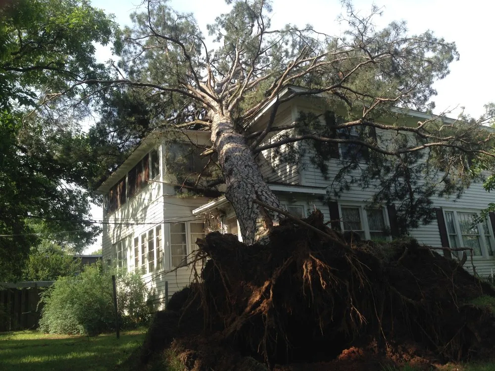 Local yard cleanup service experts serving Fort Smith, AR - Killian's Tree Service