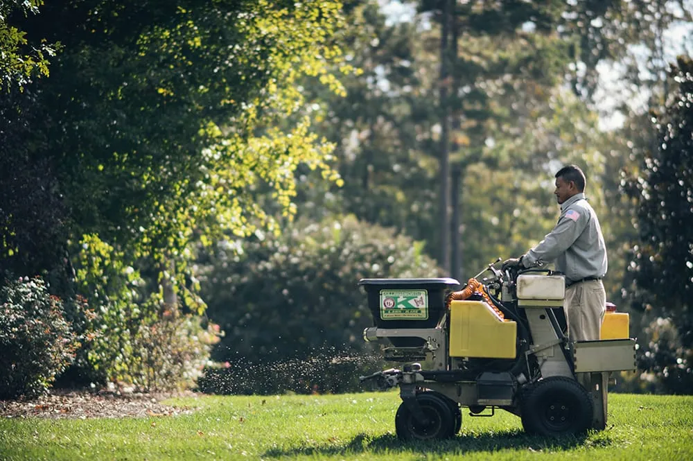 Local yard cleanup service for residential properties across Denver, NC - Killingsworth Environmental