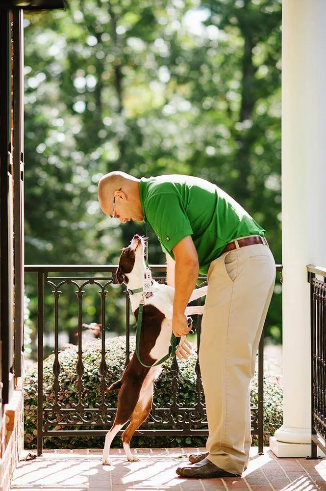 Affordable landscape installation for homes across Dover, NC - Killingsworth Environmental