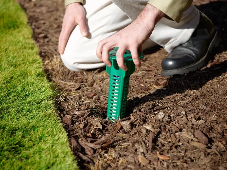 Affordable landscape installation experts serving Dover, NC - Killingsworth Environmental