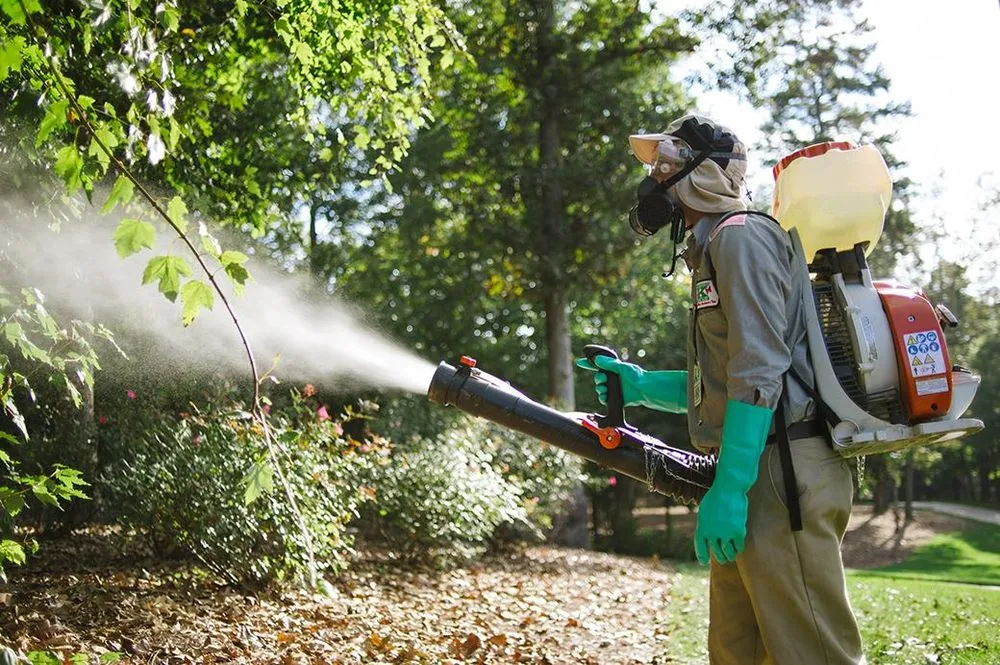 Reliable yard cleanup service in Dover, NC - Killingsworth Environmental