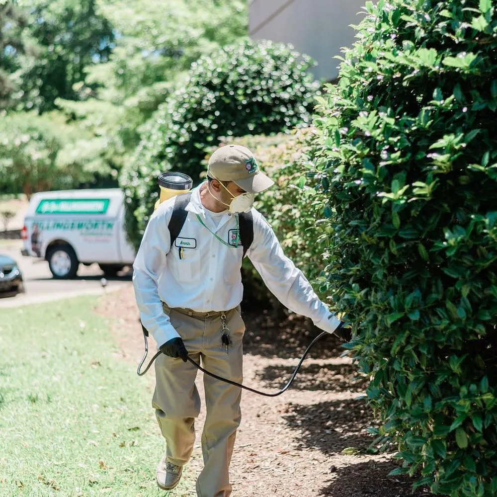 Expert lawn care service with custom design across Dover, NC - Killingsworth Environmental