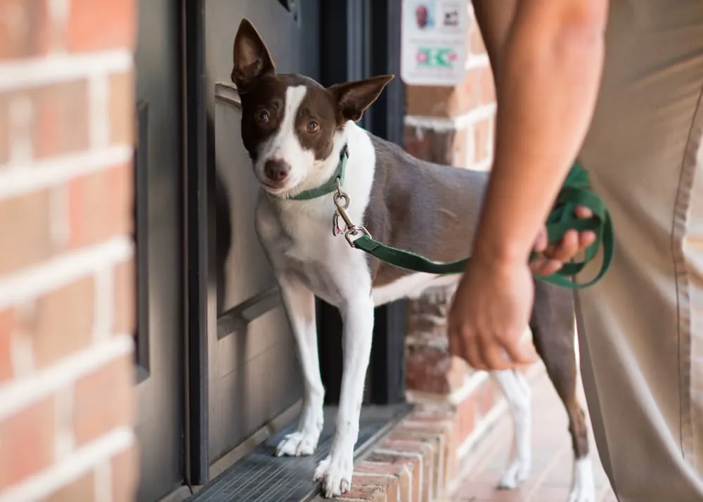 Custom landscaping services experts serving Mint Hill, NC - Killingsworth Environmental