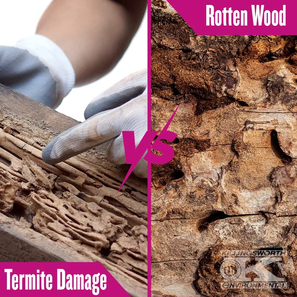 Affordable garden landscaping experts serving Mint Hill, NC - Killingsworth Environmental