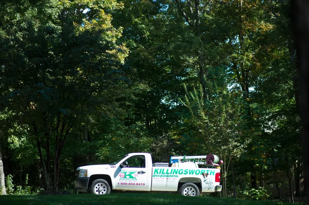 Affordable landscaping services near you in Mint Hill, NC by Killingsworth Environmental