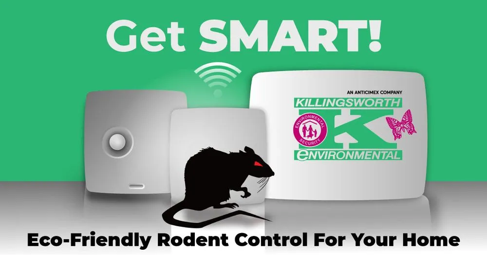 Trusted garden landscaping for homes across Rock Hill, SC - Killingsworth Environmental