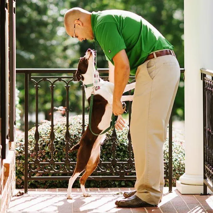 Trusted landscaping services in Rock Hill, SC - Killingsworth Environmental