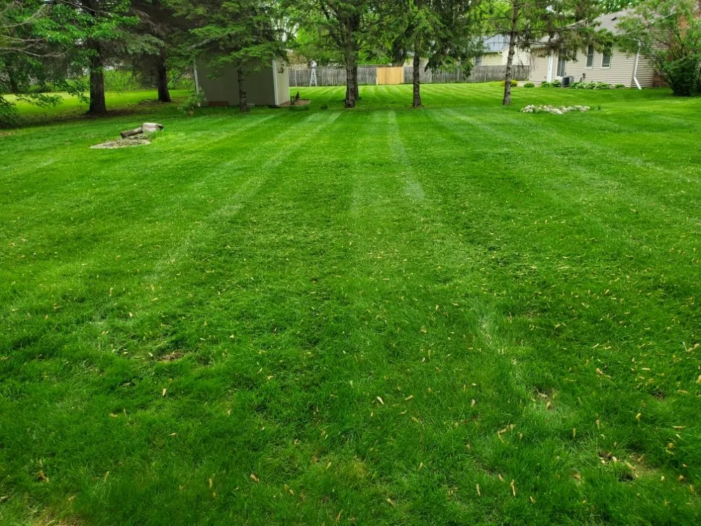 Top-rated yard cleanup service for residential properties across Rosemount, MN - Kilmartin Property Maintenance