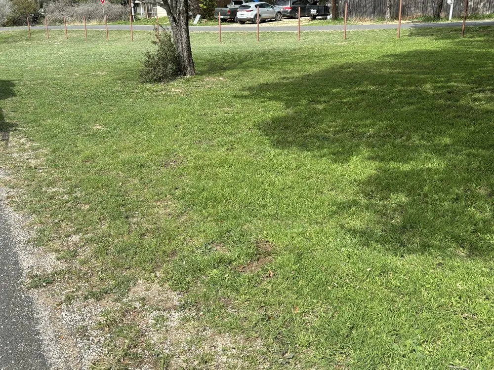 Local lawn mowing service for year-round maintenance across Spicewood, TX - Kilo Bravo Elite