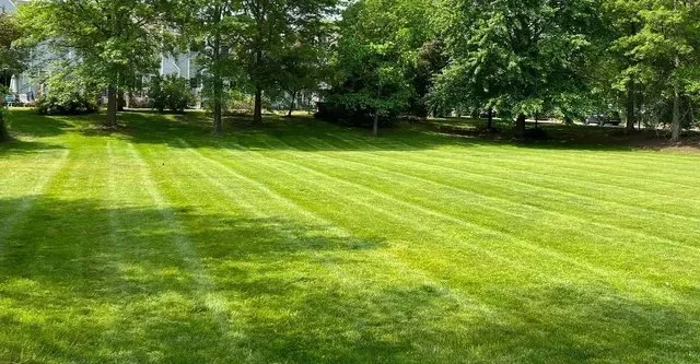 Affordable landscape installation in Spicewood, TX by Kilo Bravo Elite