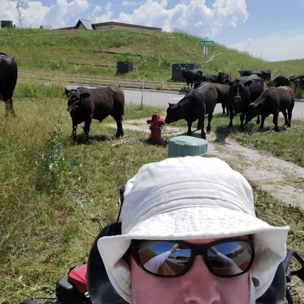 Affordable yard cleanup service near you across Rapid City, SD - Kilted Lawn & Services