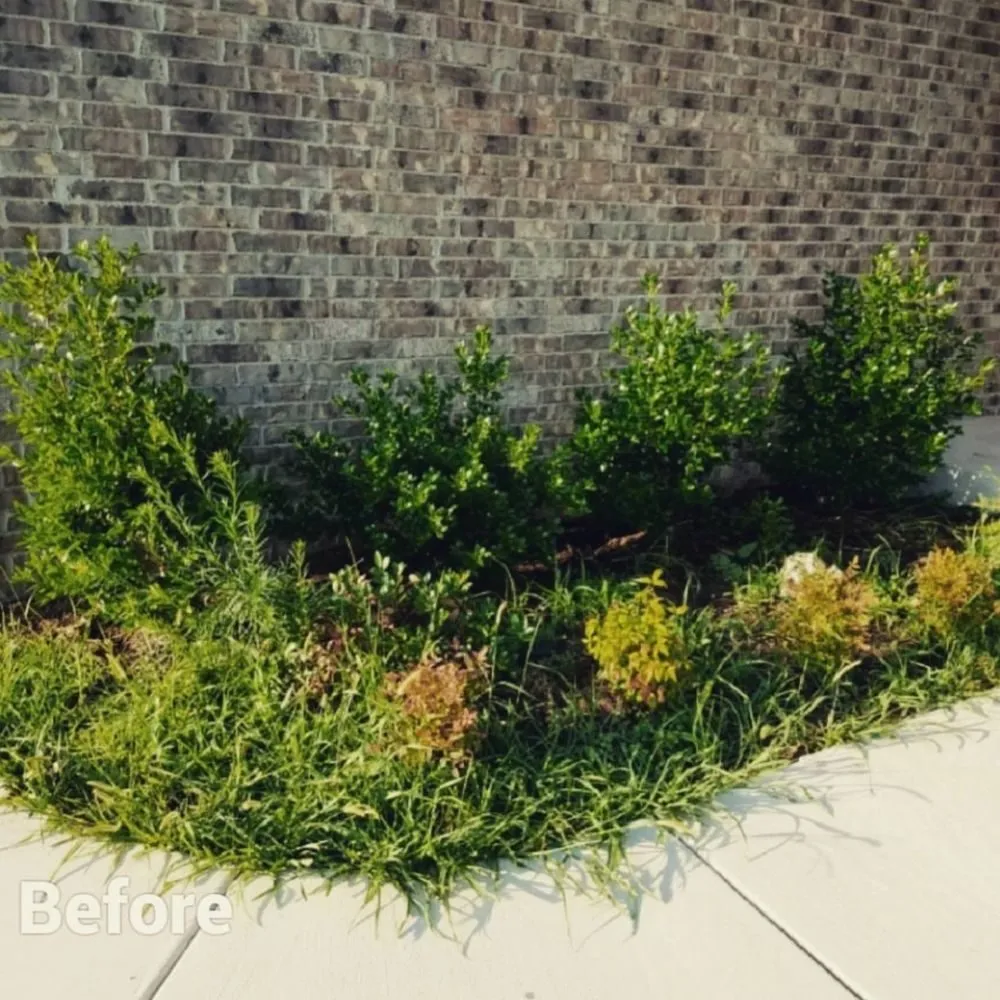 Professional lawn care service near you across Rapid City, SD - Kilted Lawn & Services