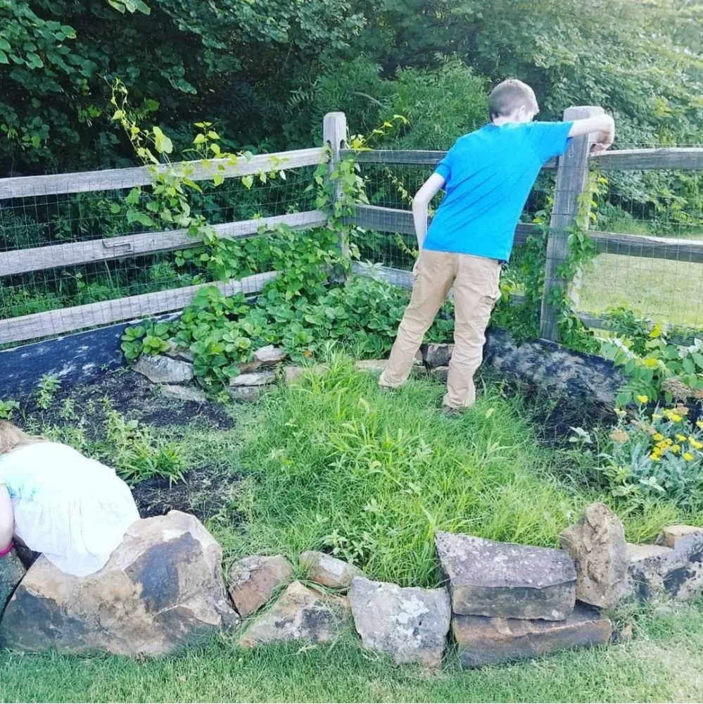 Expert yard cleanup service for homes across Rapid City, SD - Kilted Lawn & Services