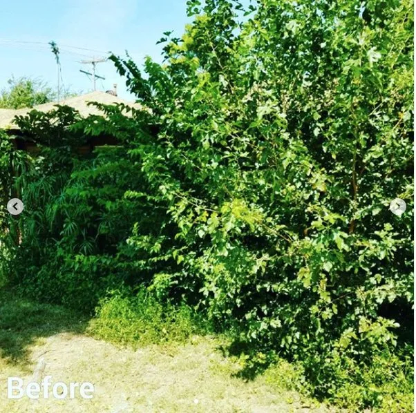 Top-rated landscaping services experts serving Rapid City, SD - Kilted Lawn & Services