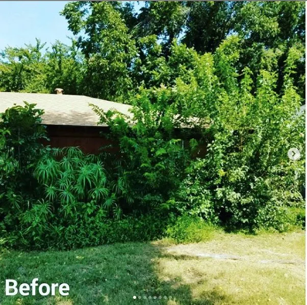 Reliable yard maintenance for beautiful yards across Rapid City, SD - Kilted Lawn & Services