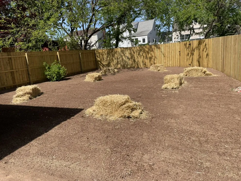 Expert lawn care service with custom design across Bound Brook, NJ - KIMA