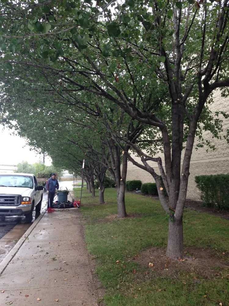 Top-rated landscape design for outdoor upgrades across Draper, UT - Kimball Property Maintenance