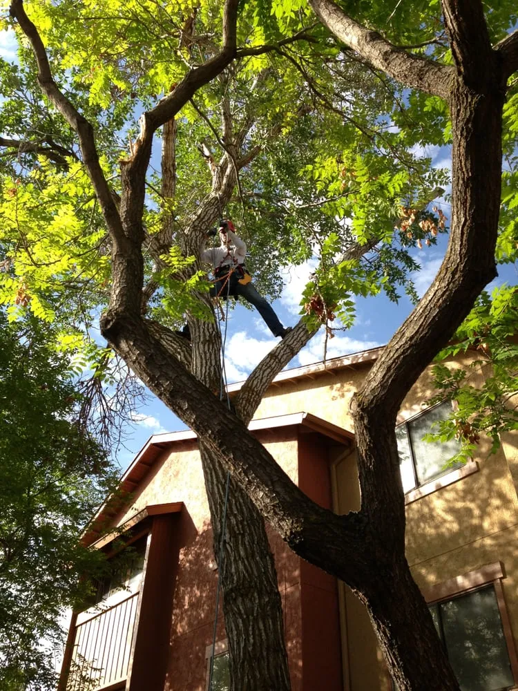 Top-rated lawn mowing service with custom design across Draper, UT - Kimball Property Maintenance