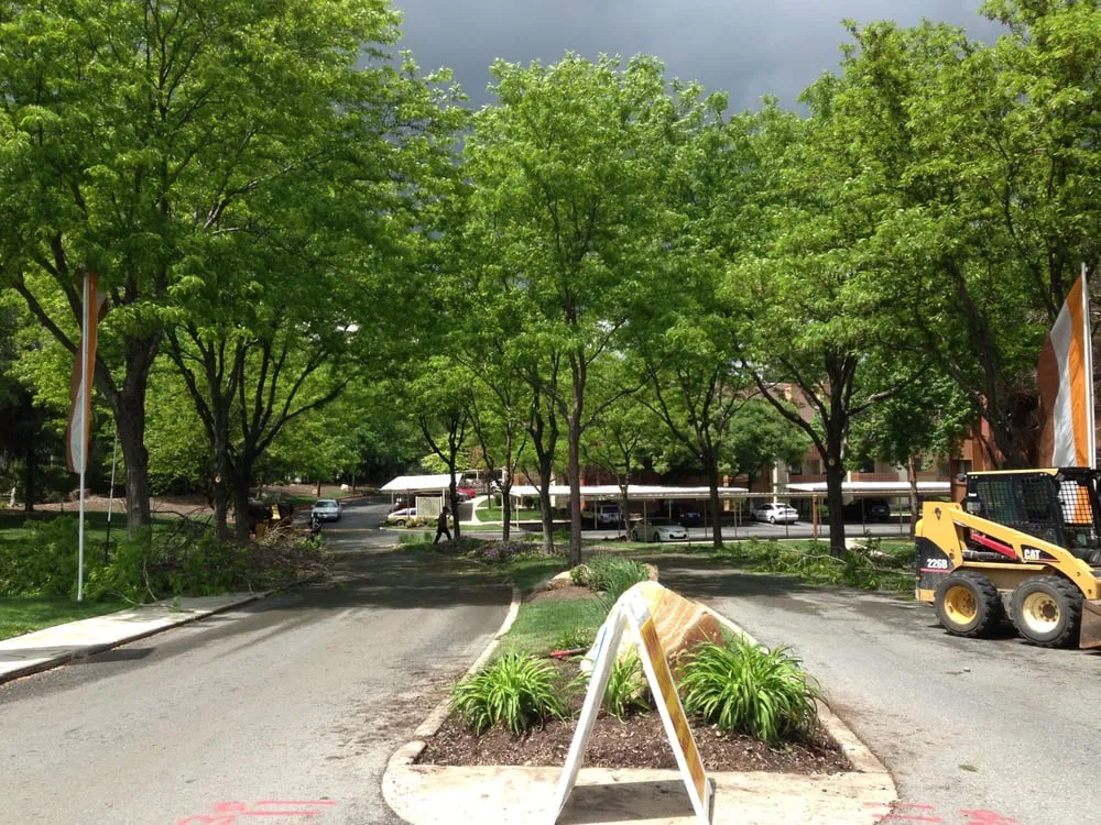 Expert landscaping services experts serving Draper, UT - Kimball Property Maintenance