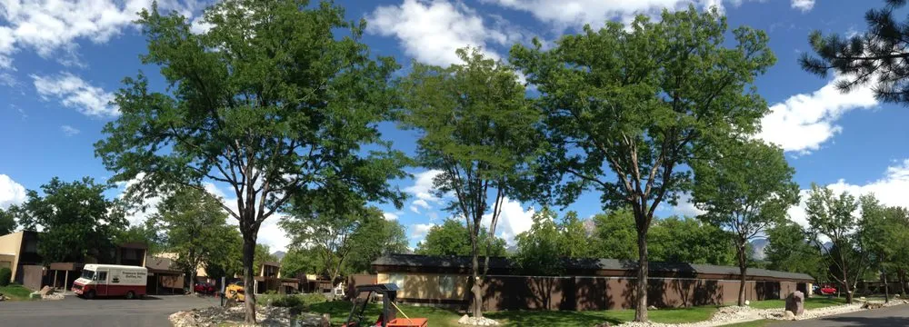 Trusted lawn mowing service in Draper, UT by Kimball Property Maintenance